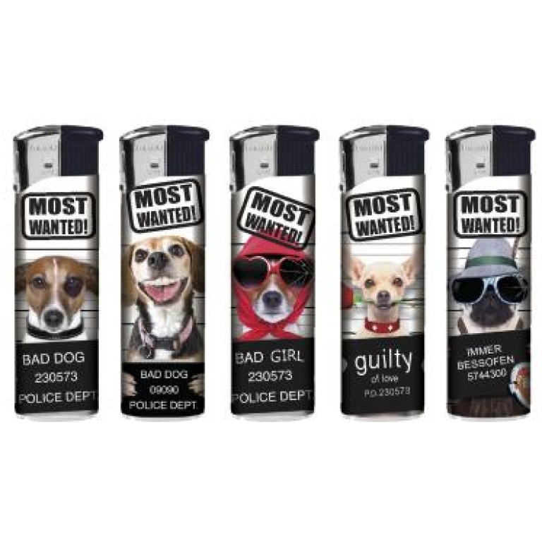 TOBALIQ MOST WANTED LIGHTERS 50PCS