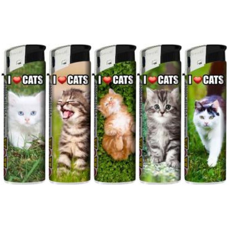 TOBALIQ I.LOVE.CATS LIGHTERS 50PCS